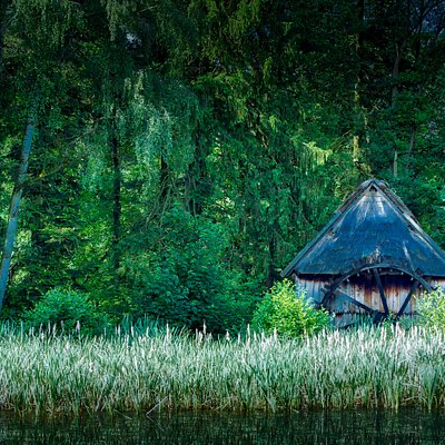 genkerkot sfeerbeeld kattevennen